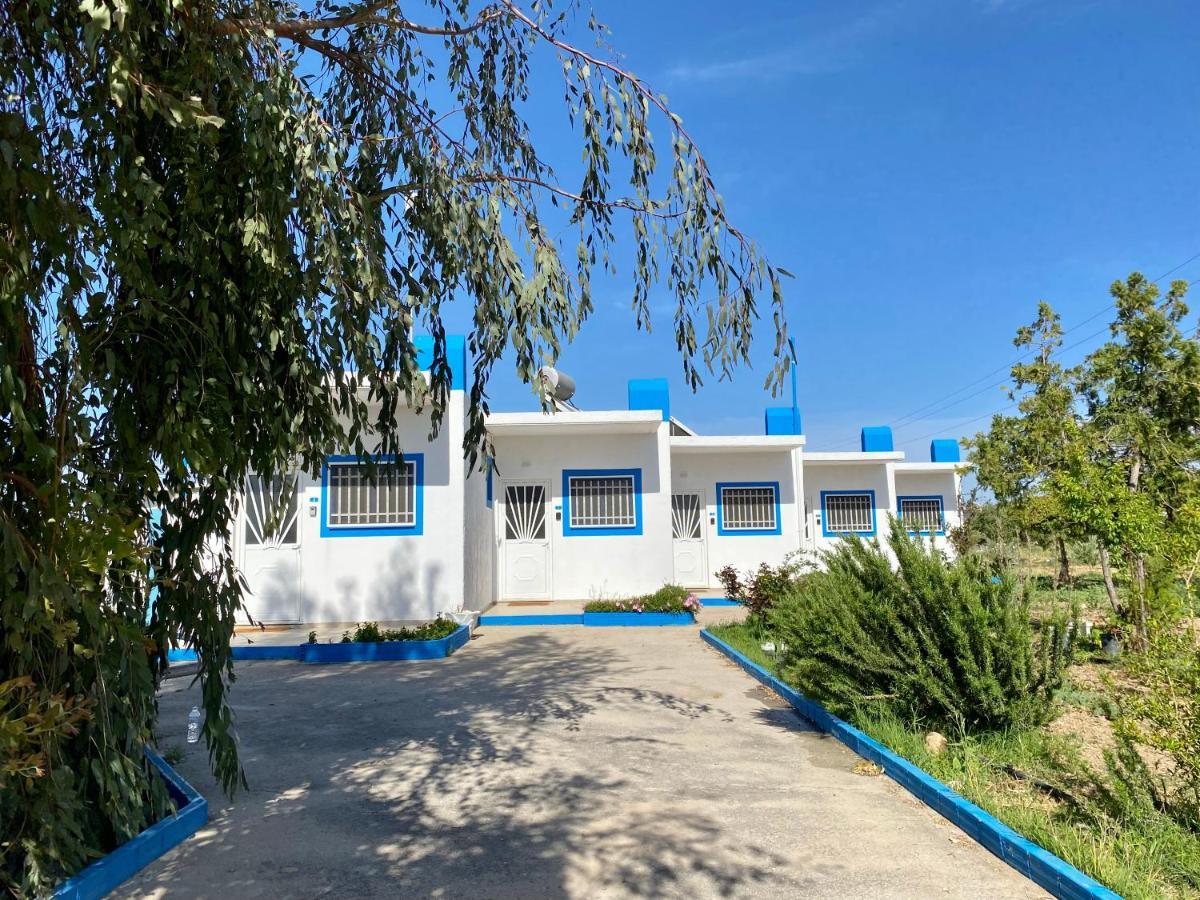 Elgreco Apartment, At Tigaki, Near The Sea "4" Ngoại thất bức ảnh